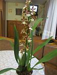     
: IMG_4413.jpg
: 5
:	91.8 
ID:	6609932