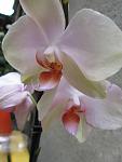     
: IMG_4542.jpg
: 5
:	50.2 
ID:	6609938