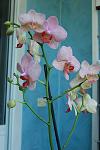     
: DSC_1195.jpg
: 5
:	69.5 
ID:	6611147
