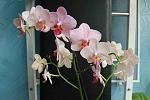     
: DSC_1218.jpg
: 7
:	91.9 
ID:	6611149