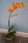     
: DSC_1205.jpg
: 6
:	65.8 
ID:	6611152
