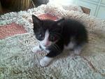     
: Фото-0089.jpg
: 4
:	117.8 
ID:	6612850