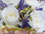     
: d5a38d195e78.jpg
: 11
:	58.3 
ID:	6613369