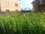     
: 20130805_162819.jpg
: 28
:	282.9 
ID:	6626379