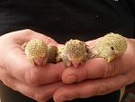     
: 20130806_204053.jpg
: 22
:	98.8 
ID:	6628833