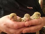     
: 20130806_204108.jpg
: 21
:	115.7 
ID:	6628837