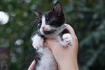     
: DSC03254.jpg
: 3
:	81.0 
ID:	6630739