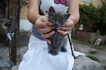     
: DSC03242.jpg
: 5
:	90.2 
ID:	6630754