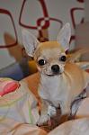     
: IMG_1478.jpg
: 46
:	86.7 
ID:	6638727