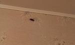     
: IMAG0299.jpg
: 27
:	74.5 
ID:	6638874