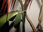     
: DSC03485.JPG
: 5
:	101.3 
ID:	6644828