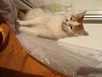     
: image.jpg
: 8
:	177.6 
ID:	6651353