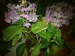     
: 11082013948.jpg
: 8
:	150.4 
ID:	6651570