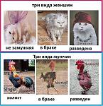    
: e1f14dd2369b.jpg
: 7
:	69.4 
ID:	6651579