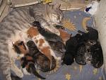     
: IMG_7596.jpg
: 18
:	181.0 
ID:	6652423
