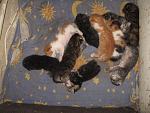     
: IMG_7597.jpg
: 12
:	183.0 
ID:	6652424