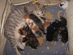     
: IMG_7595.jpg
: 17
:	184.0 
ID:	6652425