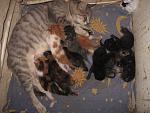     
: IMG_7594.jpg
: 14
:	182.9 
ID:	6652426