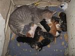     
: IMG_7598.jpg
: 14
:	184.8 
ID:	6652427