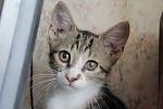     
: Pc_n12ZbUAU.jpg
: 11
:	83.9 
ID:	6652724