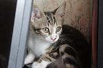     
: I80GZIzGk7E.jpg
: 11
:	96.5 
ID:	6652725