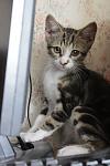     
: OhR17qolEf0.jpg
: 109
:	72.1 
ID:	6652728