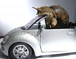     
: 3530679_large.jpg
: 20
:	99.6 
ID:	665358