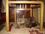    
: DSC03970.JPG
: 28
:	119.6 
ID:	665514