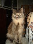     
: DSC06550.JPG
: 33
:	64.8 
ID:	665516