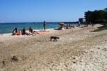     
: IMG_7918.jpg
: 59
:	223.8 
ID:	6658045