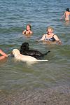     
: IMG_8273.jpg
: 29
:	95.5 
ID:	6659654