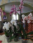     
: DSC04581.jpg
: 9
:	94.2 
ID:	6660326