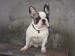     
: IMG_0011.jpg
: 45
:	106.5 
ID:	666199
