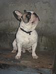     
: IMG_0012.jpg
: 42
:	74.8 
ID:	666203
