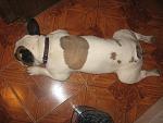     
: IMG_0026.jpg
: 48
:	136.4 
ID:	666206