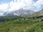     
: IMG_3250.JPG
: 13
:	95.5 
ID:	6663282