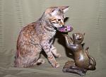     
: DSC_0353.jpg
: 4
:	36.4 
ID:	6663774