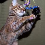     
: DSC_0335.jpg
: 6
:	50.7 
ID:	6663780