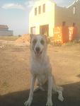    
: Фото-0210.jpg
: 12
:	65.2 
ID:	6665831