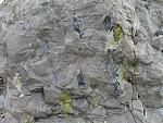     
: 80e11cd.jpg
: 13
:	191.8 
ID:	6665852