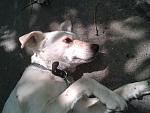     
: 2013-07-10 12.33.56.jpg
: 13
:	150.4 
ID:	6665995