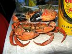     
: P6250016.jpg
: 10
:	176.9 
ID:	6670638