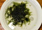     
: DSC_7893.jpg
: 13
:	178.0 
ID:	6673445
