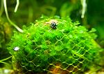     
: DSC_6613.jpg
: 18
:	84.7 
ID:	6673461