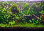    
: DSC_5055.jpg
: 21
:	172.1 
ID:	6673480