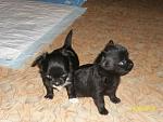     
: AsXH1wvmoFM.jpg
: 4
:	57.2 
ID:	6678389