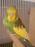     
: Изображение 104.jpg
: 26
:	127.2 
ID:	6681592
