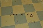     
: DSC_7370.JPG
: 35
:	131.1 
ID:	6681655