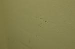     
: DSC_7371.JPG
: 25
:	89.6 
ID:	6681661