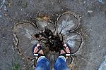     
: DSC_0051_.jpg
: 18
:	249.1 
ID:	6681842